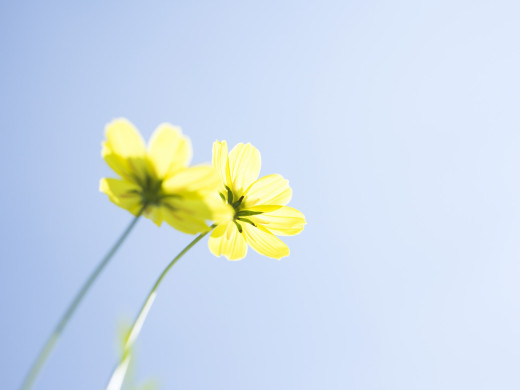 427424 (a): :1600x1200